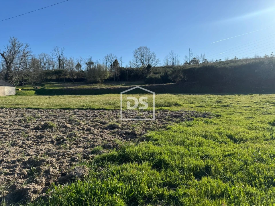 Terreno Agricola ou Rústico para Venda em Panoias de Cima Foto 13