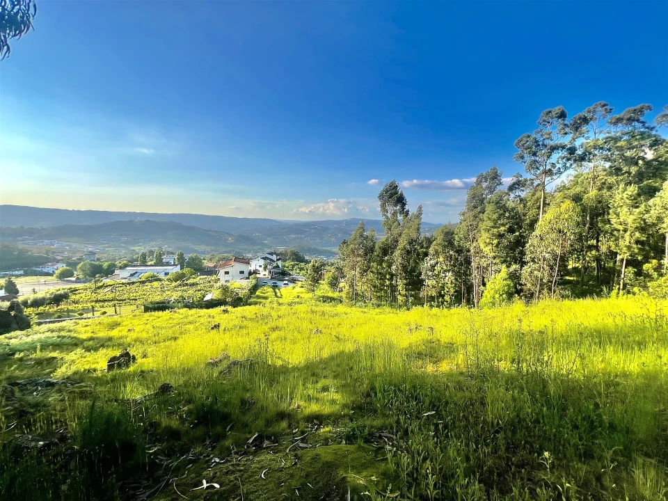 Terreno para Venda em Sobrado e Bairros Foto 11