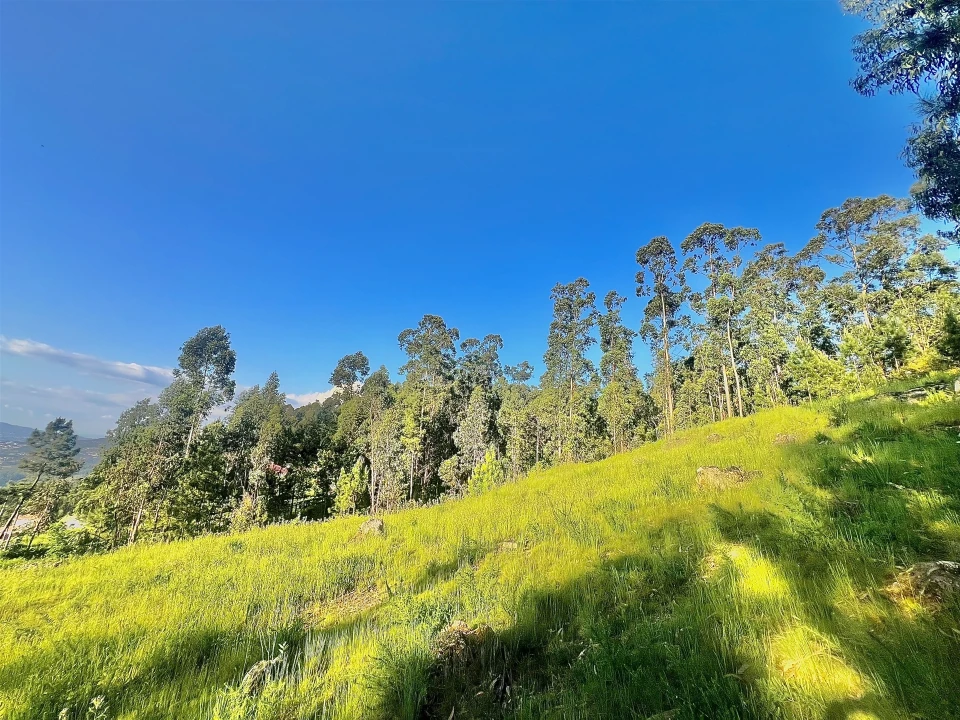 Terreno para Venda em Sobrado e Bairros Foto 8