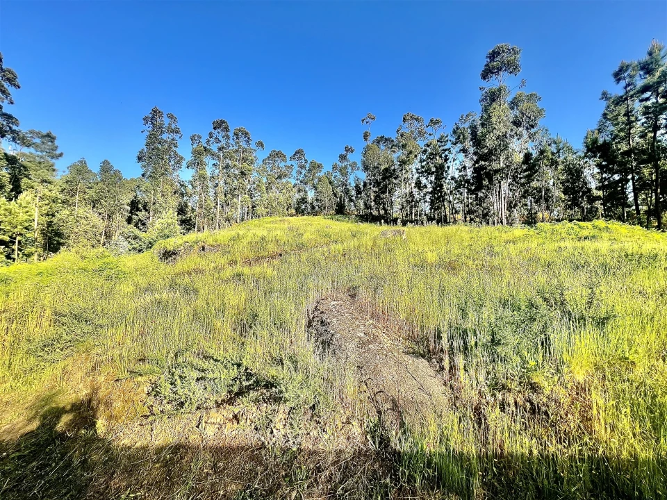 Terreno para Venda em Sobrado e Bairros Foto 3