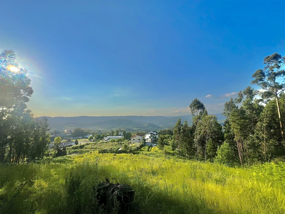Terreno para Venda em Sobrado e Bairros Foto 12