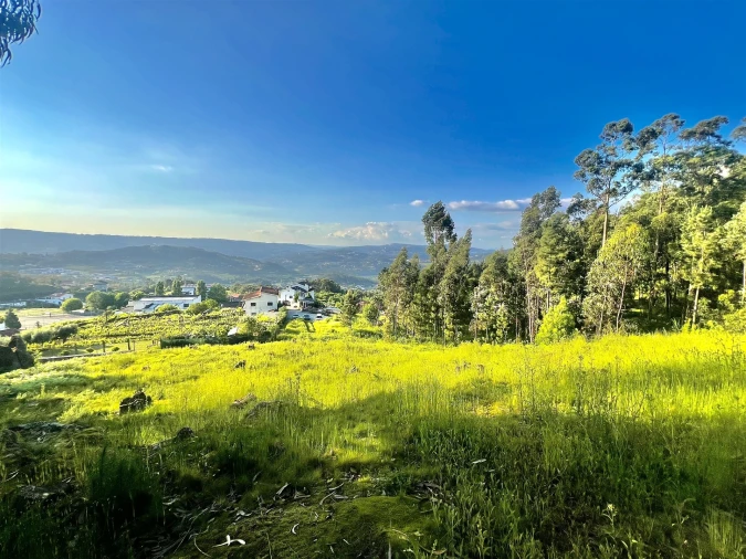 Terreno para Venda em Sobrado e Bairros Foto 11