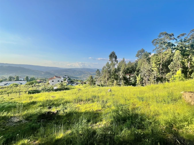 Terreno para Venda em Sobrado e Bairros Foto 9