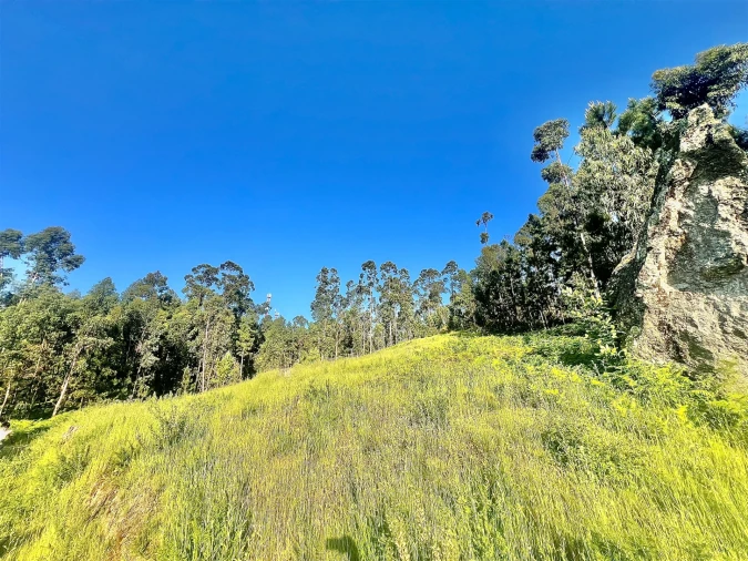 Terreno para Venda em Sobrado e Bairros Foto 4