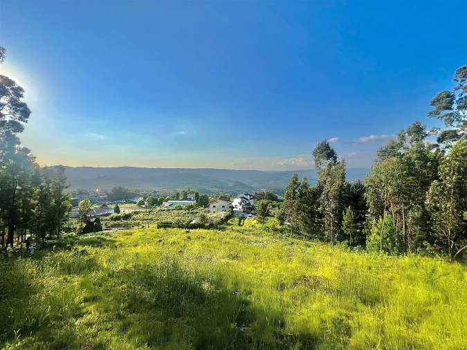 Terreno para Venda em Sobrado e Bairros Foto 13
