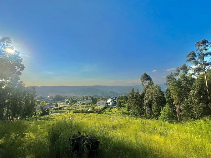 Terreno para Venda em Sobrado e Bairros Foto 12