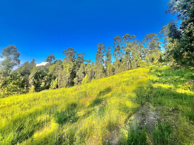 Terreno para Venda em Sobrado e Bairros Foto 7