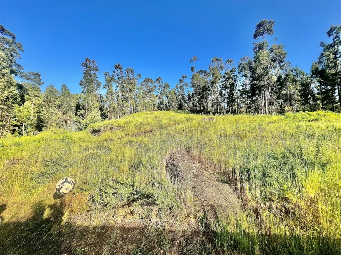 Terreno para Venda em Sobrado e Bairros Foto 2