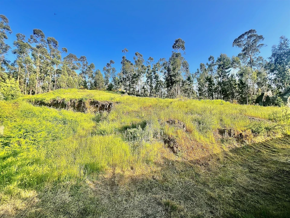 Terreno para Venda em Sobrado e Bairros Foto 1