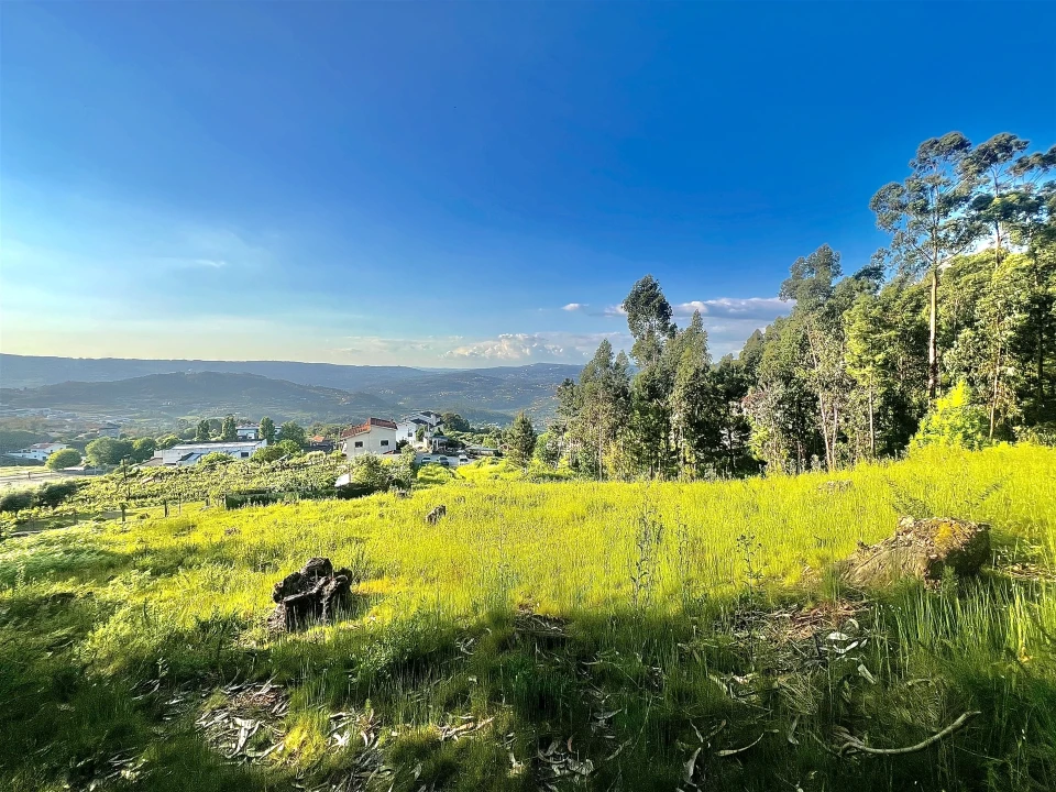 Terreno para Venda em Sobrado e Bairros Foto 10