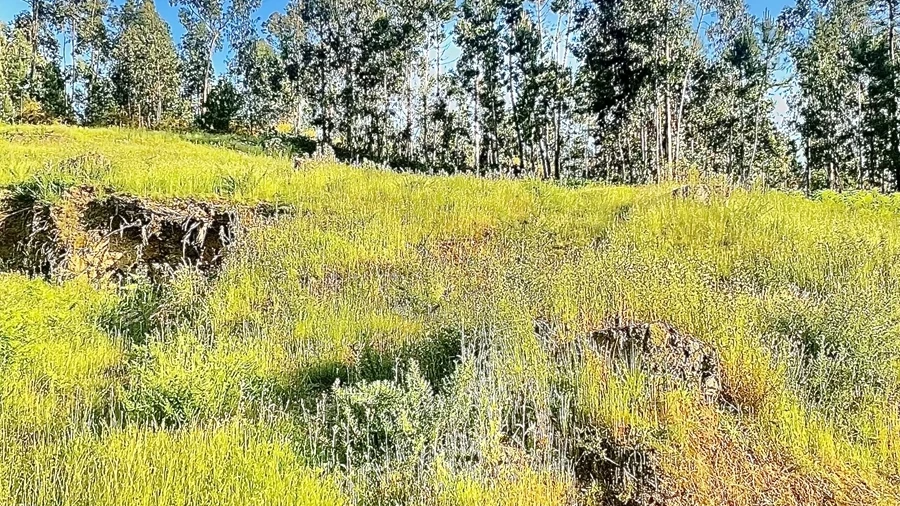 Terreno para Venda em Sobrado e Bairros