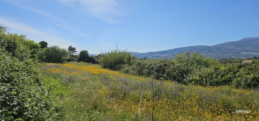 Quinta T4 para Venda em Ferro Foto 20