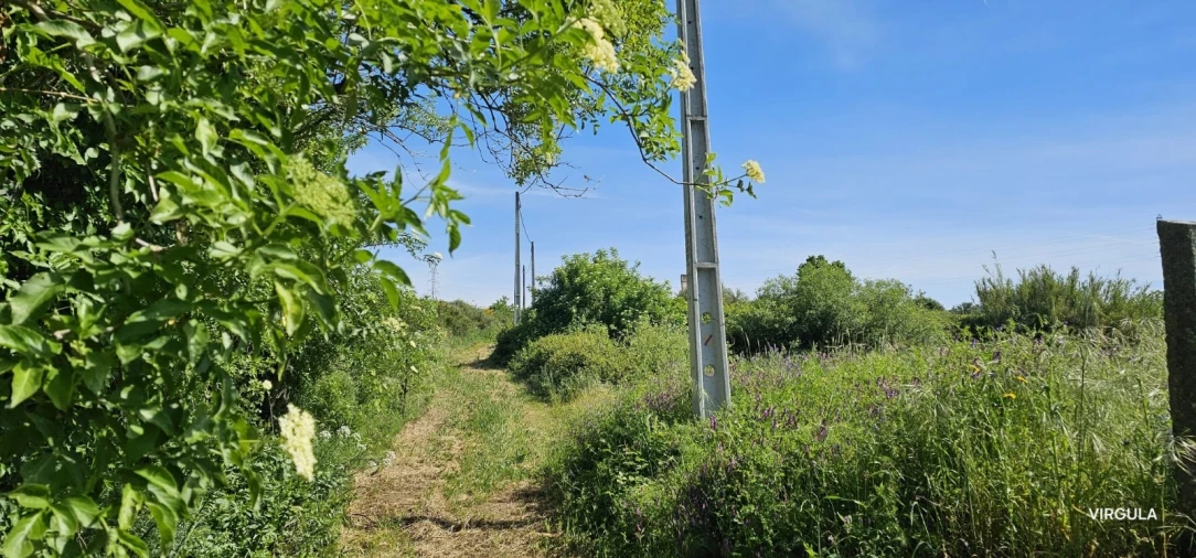 Quinta T4 para Venda em Ferro Foto 32