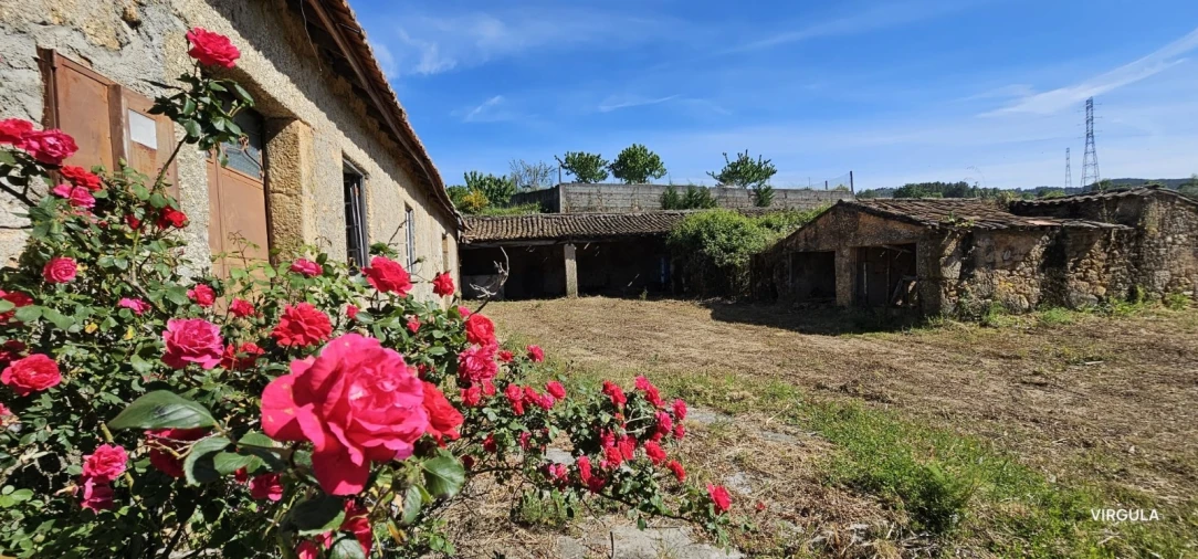 Quinta T4 para Venda em Ferro Foto 4