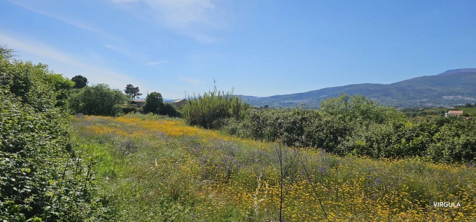 Quinta T4 para Venda em Ferro Foto 20