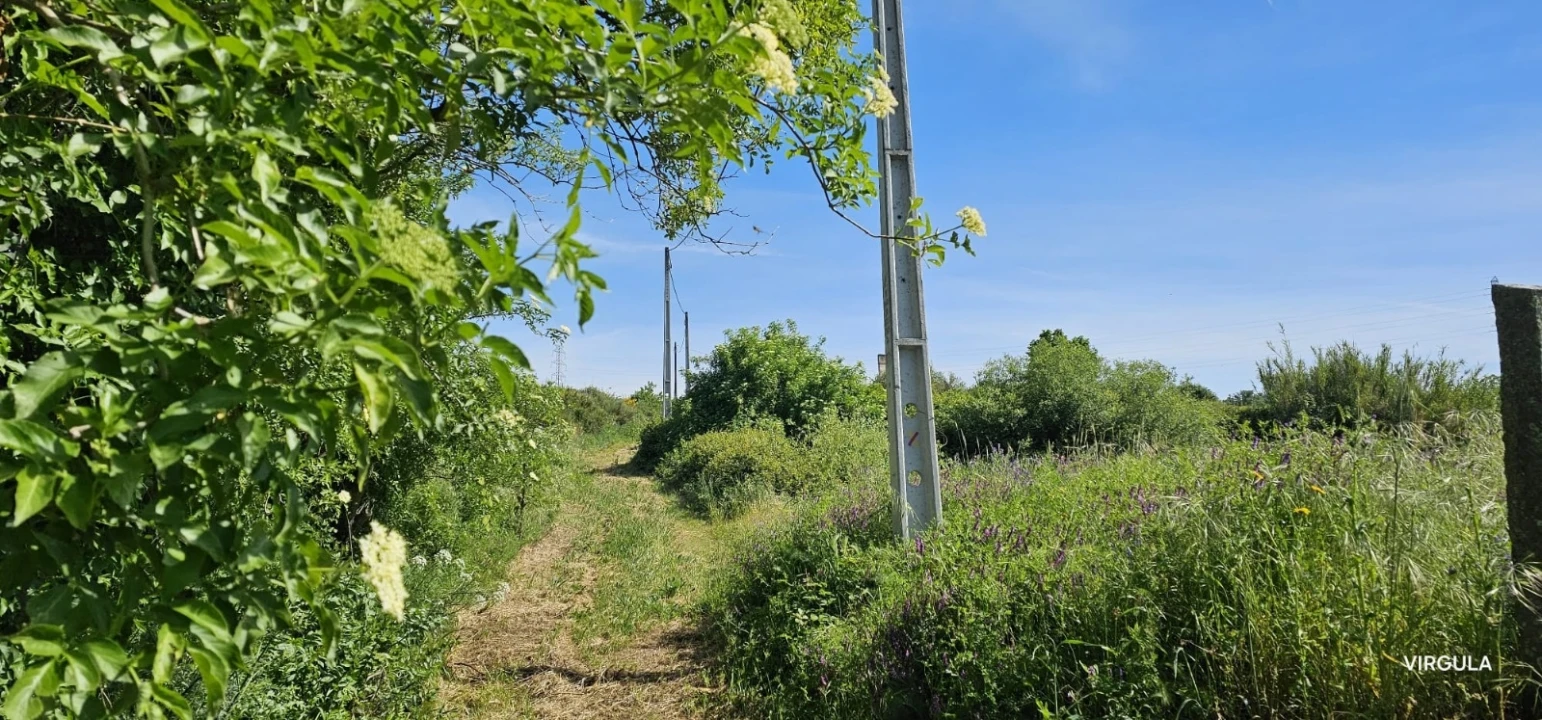 Quinta T4 para Venda em Ferro Foto 32