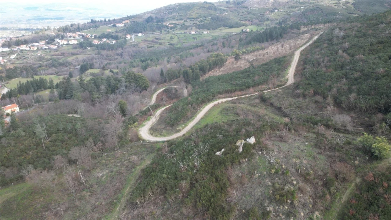 Terreno para Venda em Gouveia (São Pedro e São Julião) Foto 5
