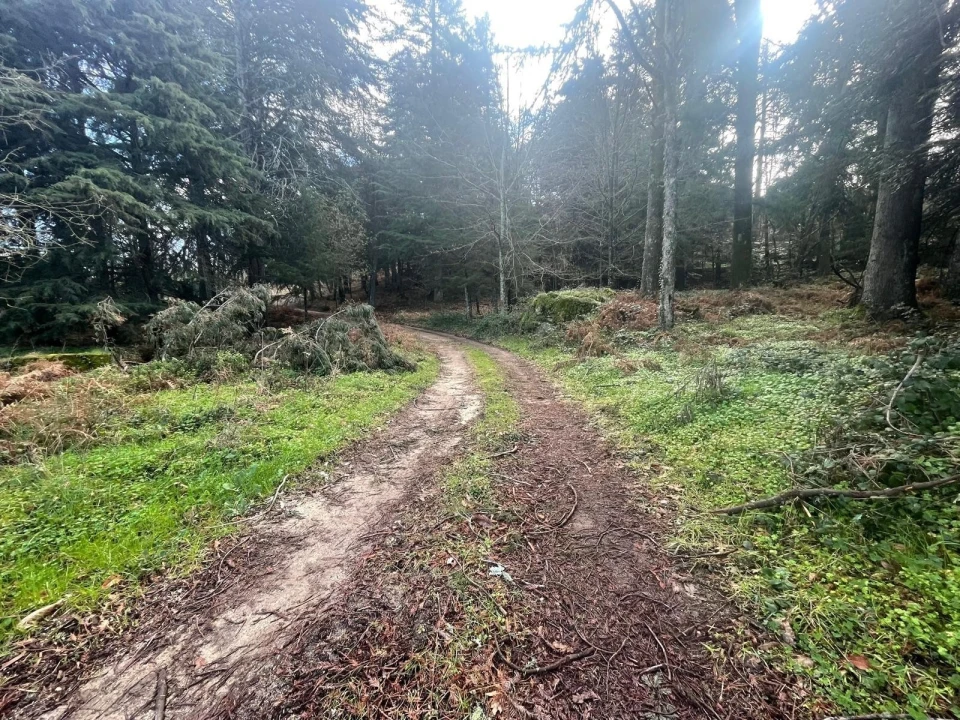 Terreno para Venda em Gouveia (São Pedro e São Julião) Foto 14