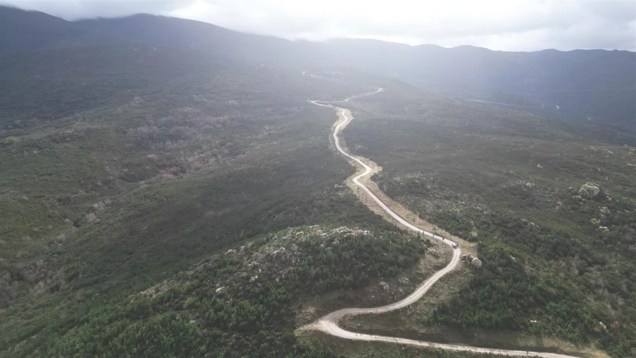 Terreno para Venda em Gouveia (São Pedro e São Julião) Foto 6