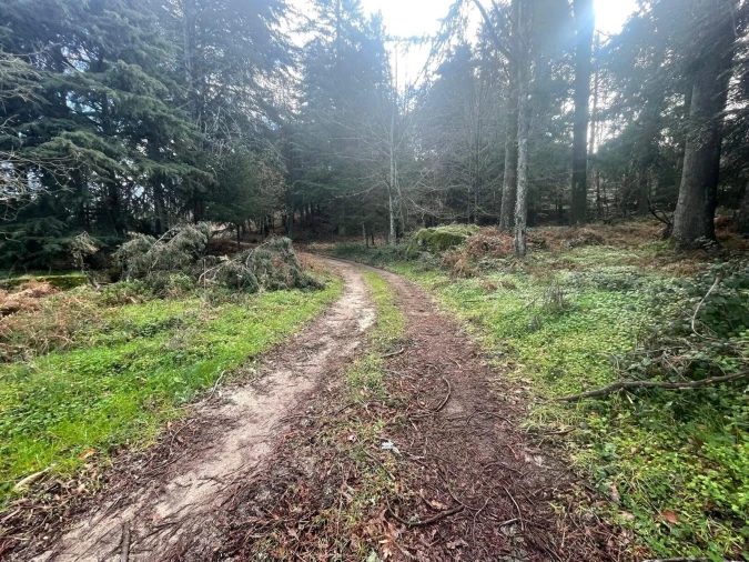 Terreno para Venda em Gouveia (São Pedro e São Julião) Foto 14