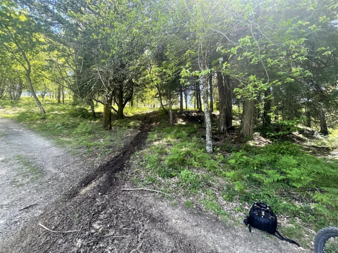 Terreno para Venda em Gouveia (São Pedro e São Julião) Foto 20