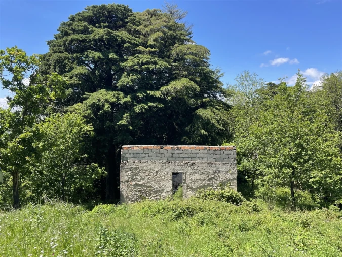 Terreno para Venda em Gouveia (São Pedro e São Julião) Foto 16