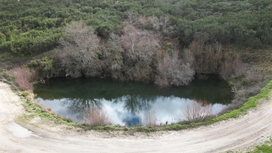 Terreno para Venda em Gouveia (São Pedro e São Julião) Foto 7