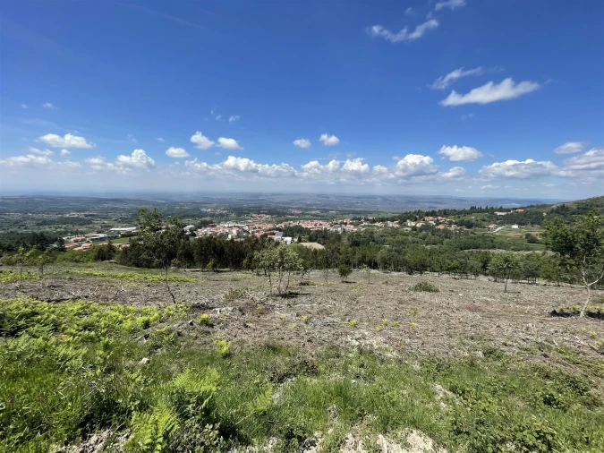 Terreno para Venda em Gouveia (São Pedro e São Julião) Foto 17