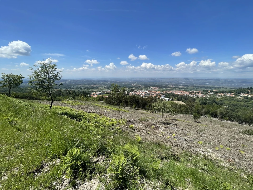Terreno para Venda em Gouveia (São Pedro e São Julião) Foto 18