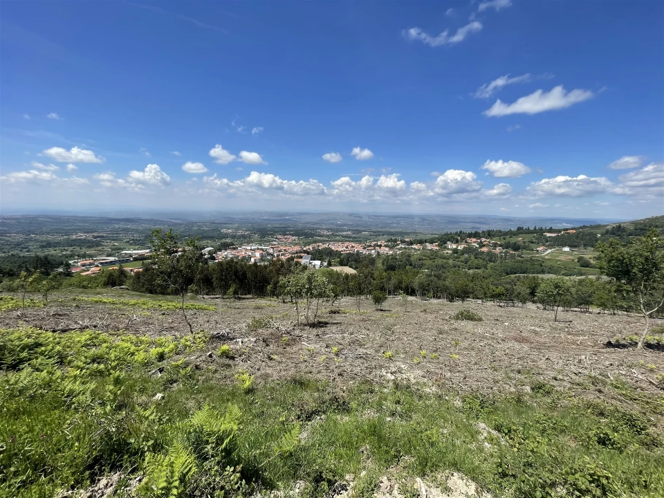 Terreno para Venda em Gouveia (São Pedro e São Julião) Foto 17