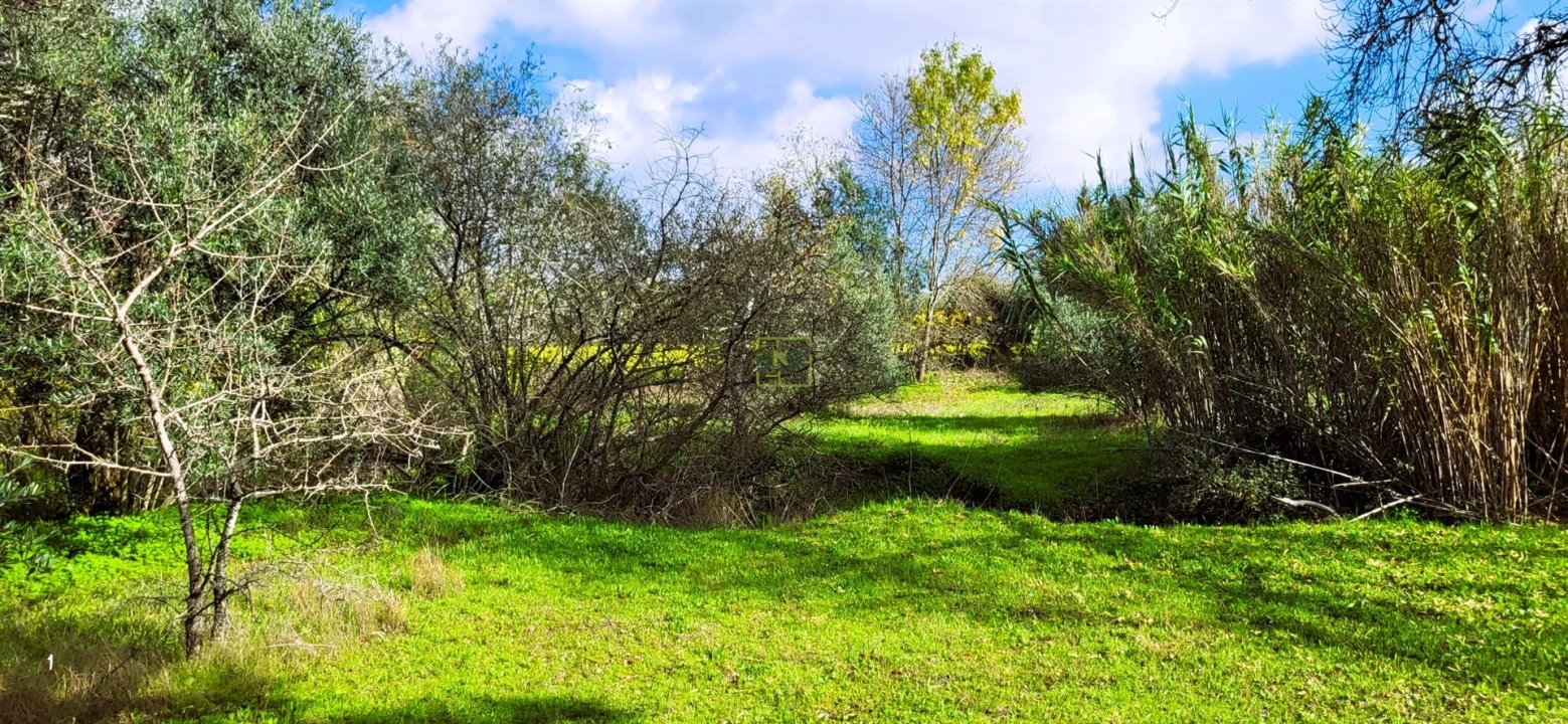 Terreno Agricola ou Rústico para Venda em Toulões Foto 9