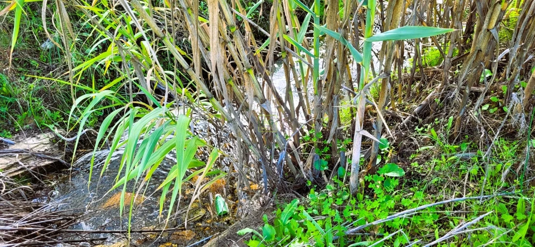 Terreno Agricola ou Rústico para Venda em Toulões Foto 11