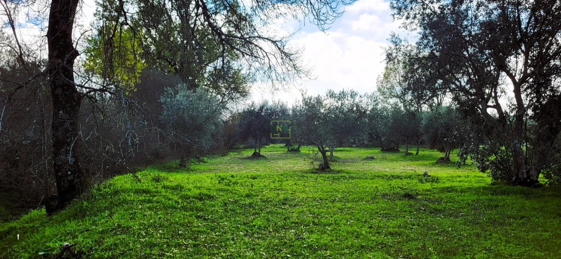 Terreno Agricola ou Rústico para Venda em Toulões Foto 13