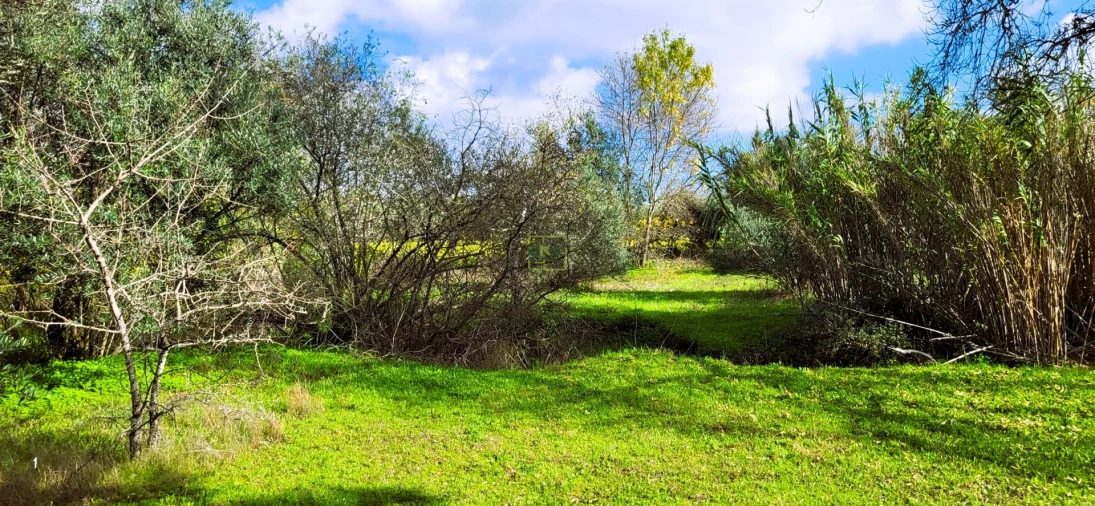 Terreno Agricola ou Rústico para Venda em Toulões Foto 9