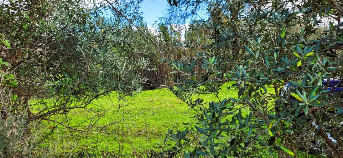 Terreno Agricola ou Rústico para Venda em Toulões Foto 2