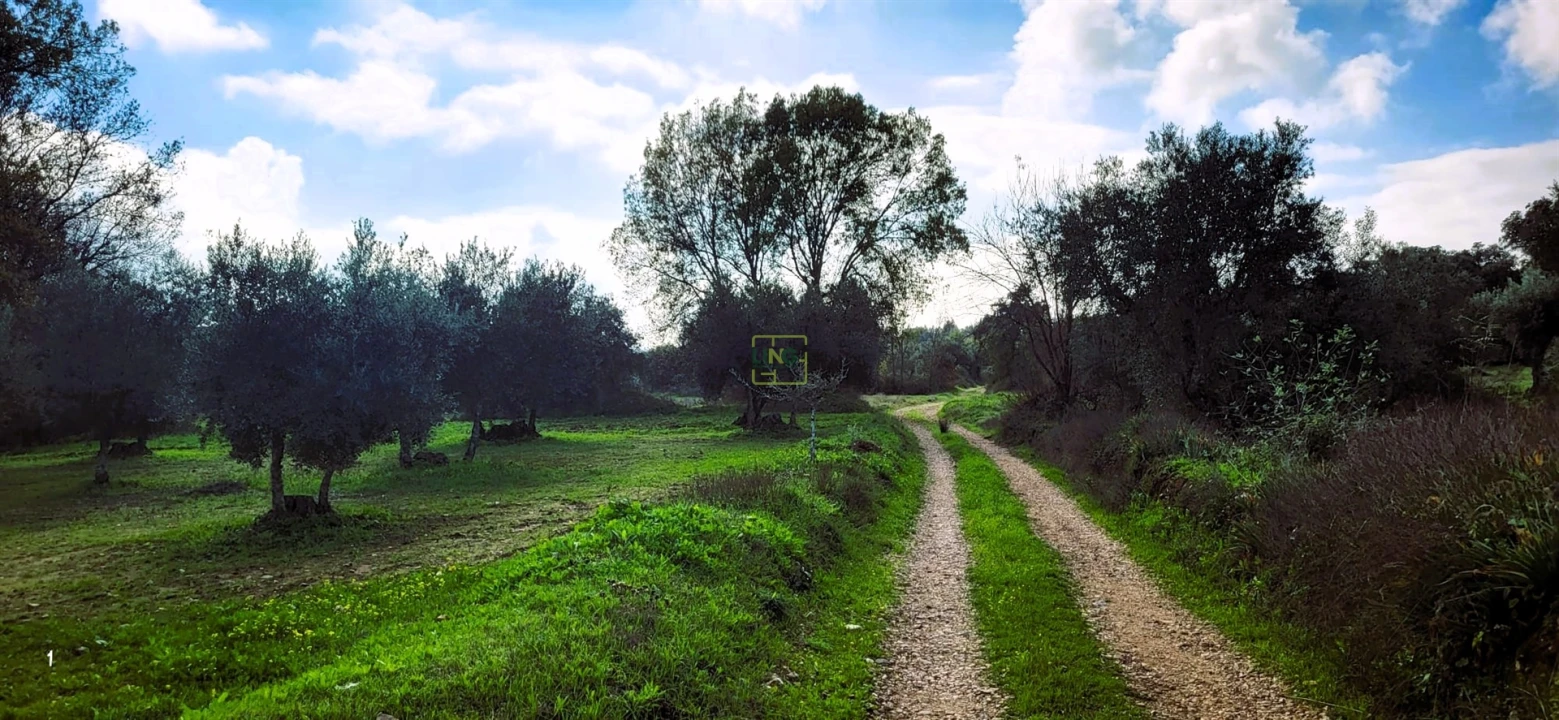 Terreno Agricola ou Rústico para Venda em Toulões Foto 4