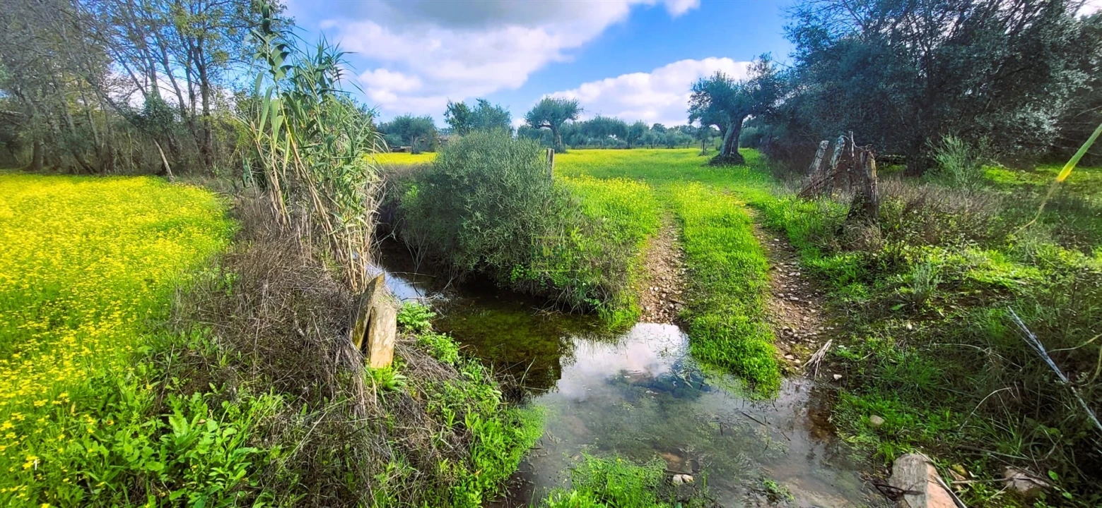 Terreno Agricola ou Rústico para Venda em Toulões Foto 6
