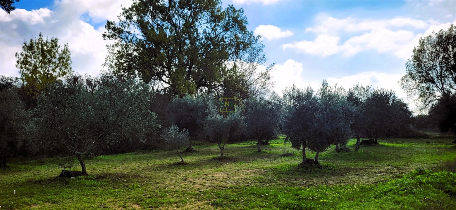 Terreno Agricola ou Rústico para Venda em Toulões Foto 1