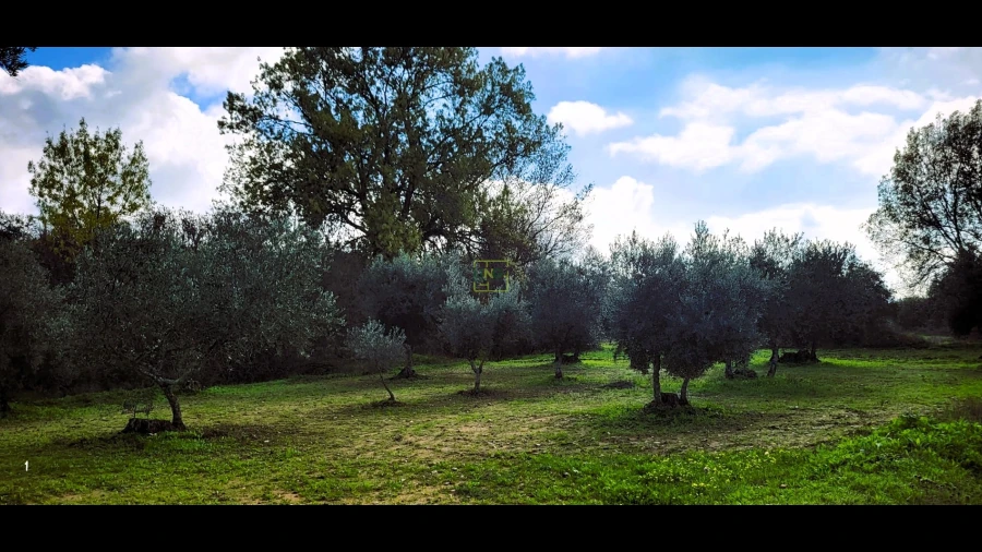 Terreno Agricola ou Rústico para Venda em Toulões