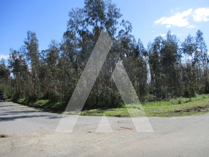 Terreno para Venda em Barrô e Aguada de Baixo Foto 1