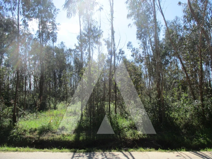 Terreno para Venda em Barrô e Aguada de Baixo Foto 3