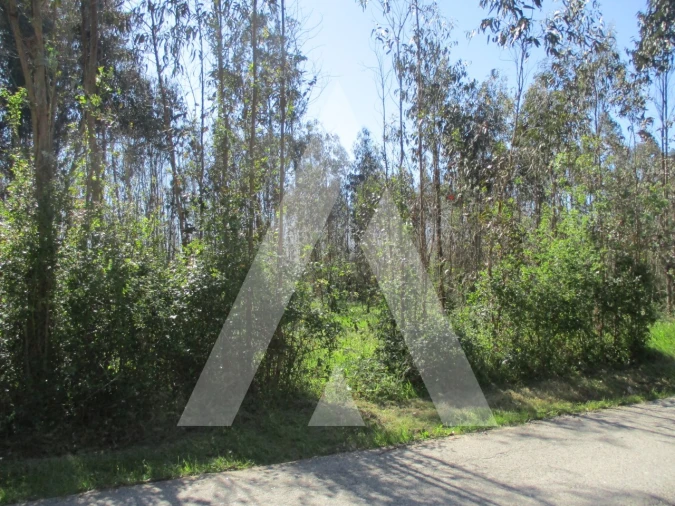 Terreno para Venda em Barrô e Aguada de Baixo Foto 5