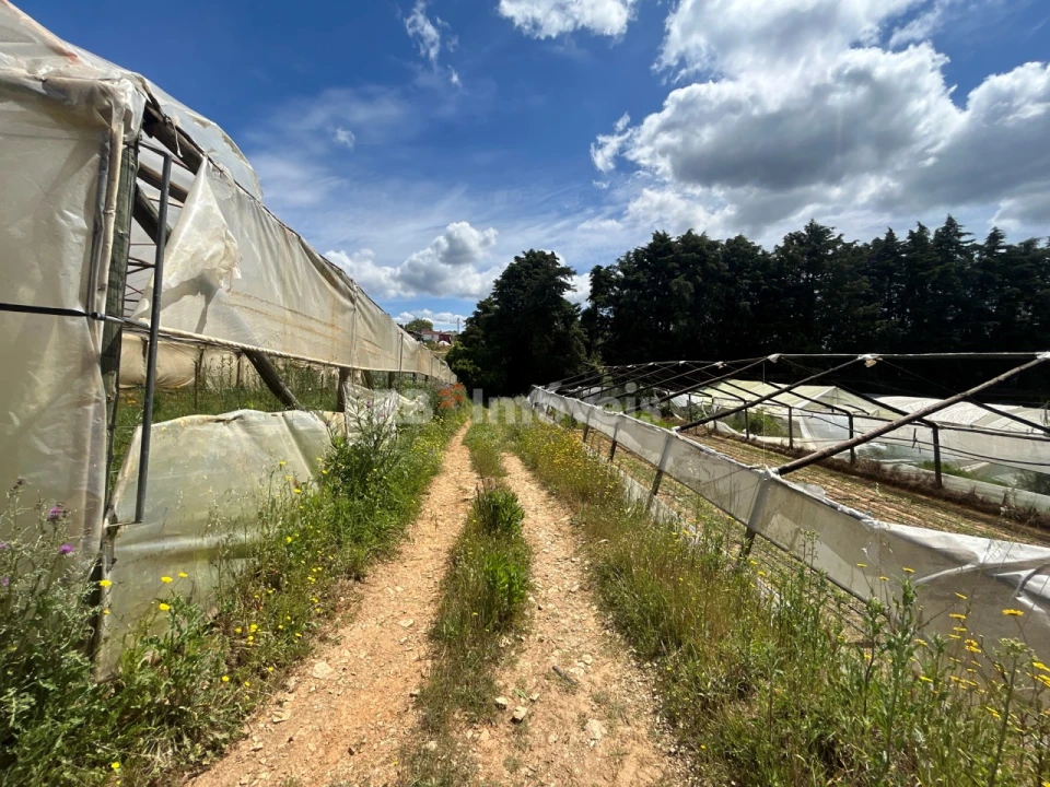 Terreno para Venda em Ferreira do Zezere Foto 1