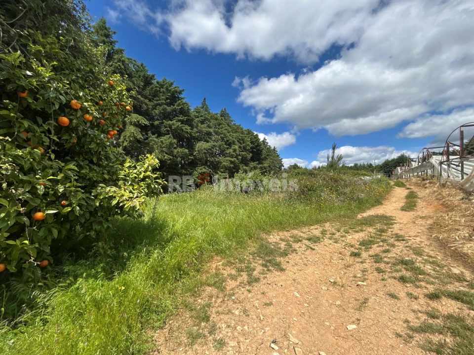 Terreno para Venda em Ferreira do Zezere Foto 10