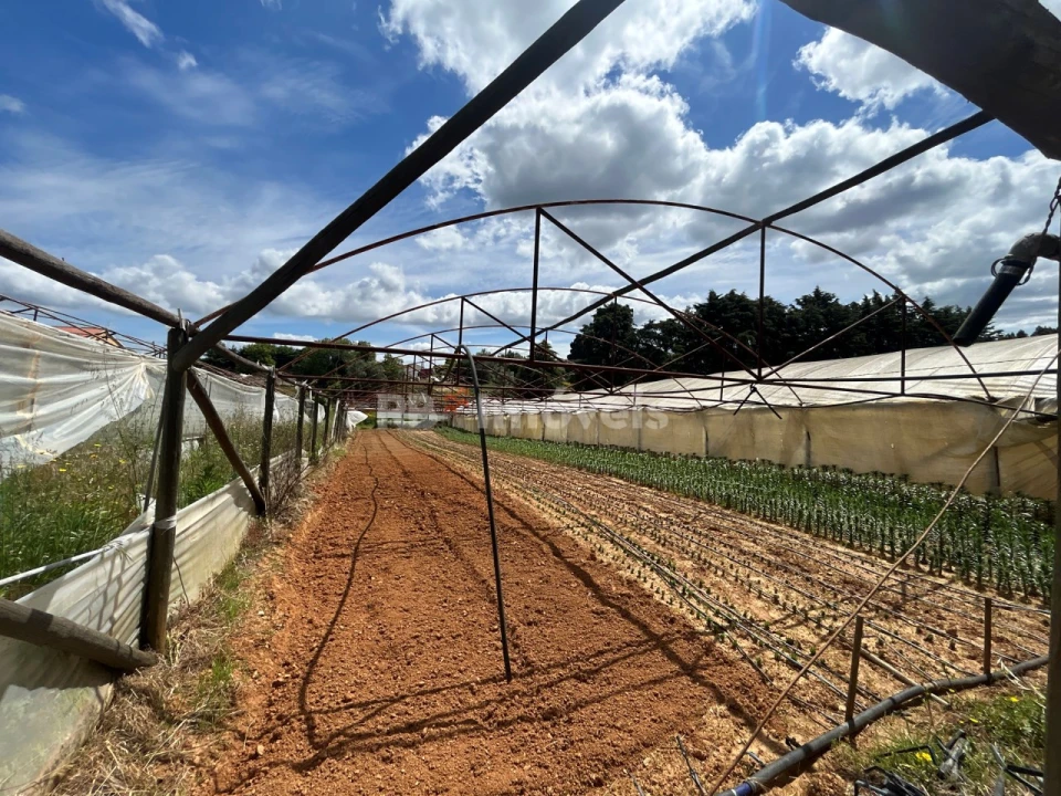 Terreno para Venda em Ferreira do Zezere Foto 4