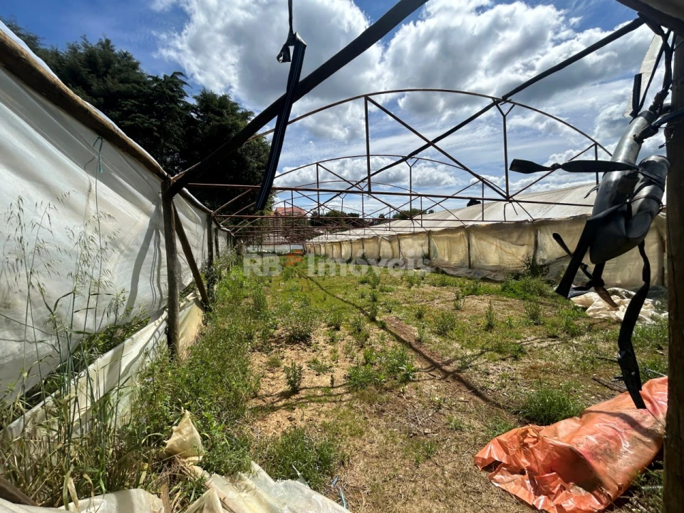 Terreno para Venda em Ferreira do Zezere Foto 17