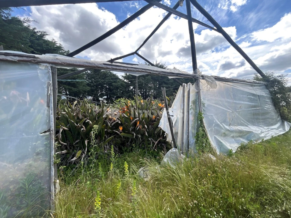 Terreno para Venda em Ferreira do Zezere Foto 22