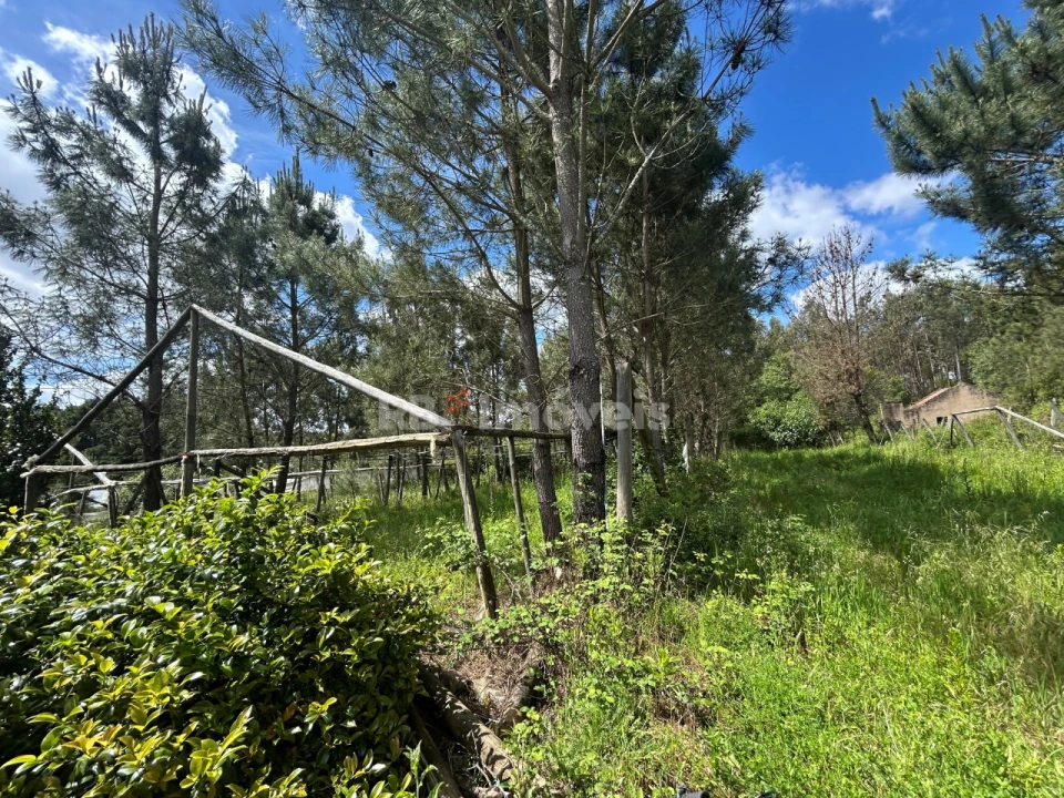 Terreno para Venda em Ferreira do Zezere Foto 31