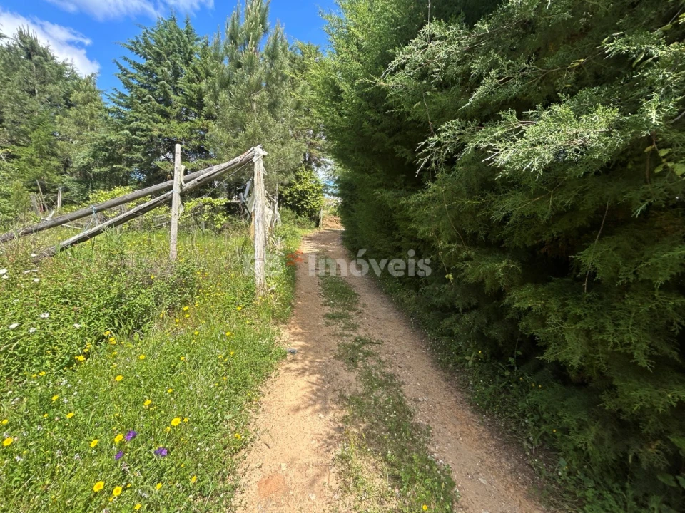 Terreno para Venda em Ferreira do Zezere Foto 34