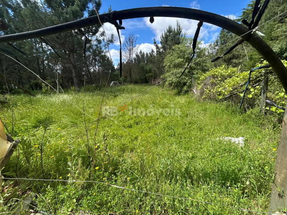 Terreno para Venda em Ferreira do Zezere Foto 35